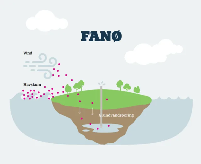 PFAS-undersøgelse på Fanø